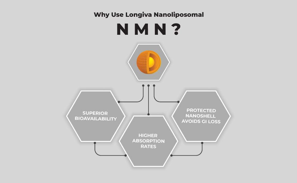 Support Healthy Aging | Biom Probiotics | BIOM Liposomal NMN
